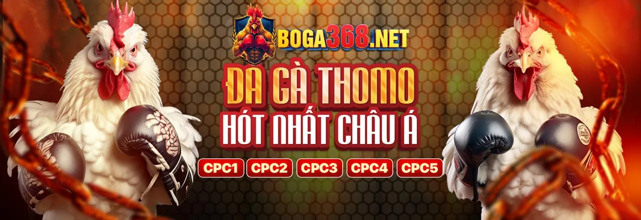Đá Gà Trực Tuyến 8fbet Win