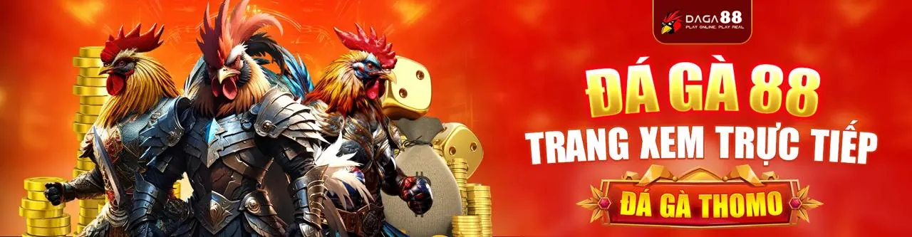 Sân vận động bóng đá với màn hình hiển thị tỷ lệ cá cược 8fbet win